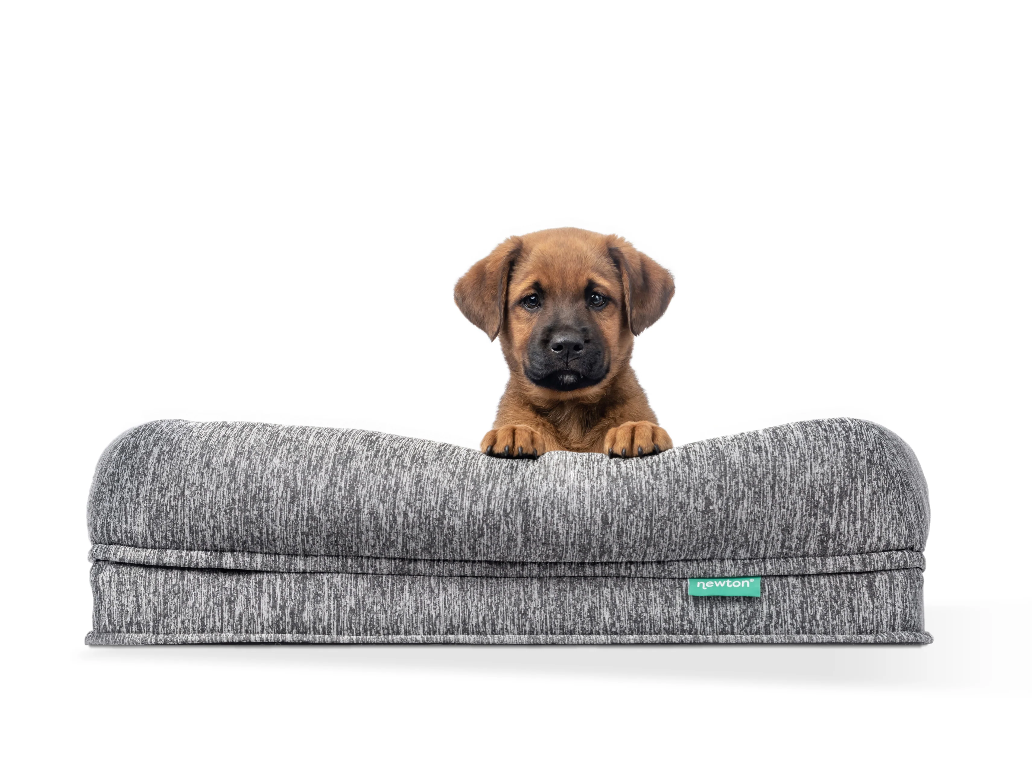 Pet Bed Extra Covers - Image 11