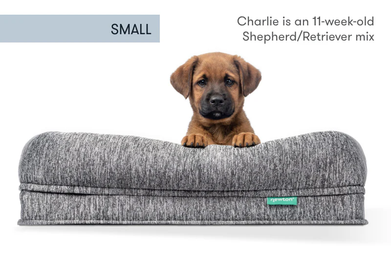 Pet Bed Extra Covers - Image 17