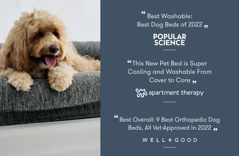 Pet Bed Extra Covers - Image 30